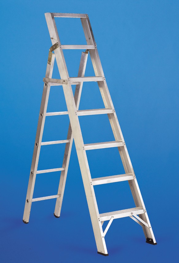 Convertable ladder/steps