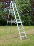 8 TREAD EXTRA-HEAVY DUTY CLASS 1 PLATFORM STEPS